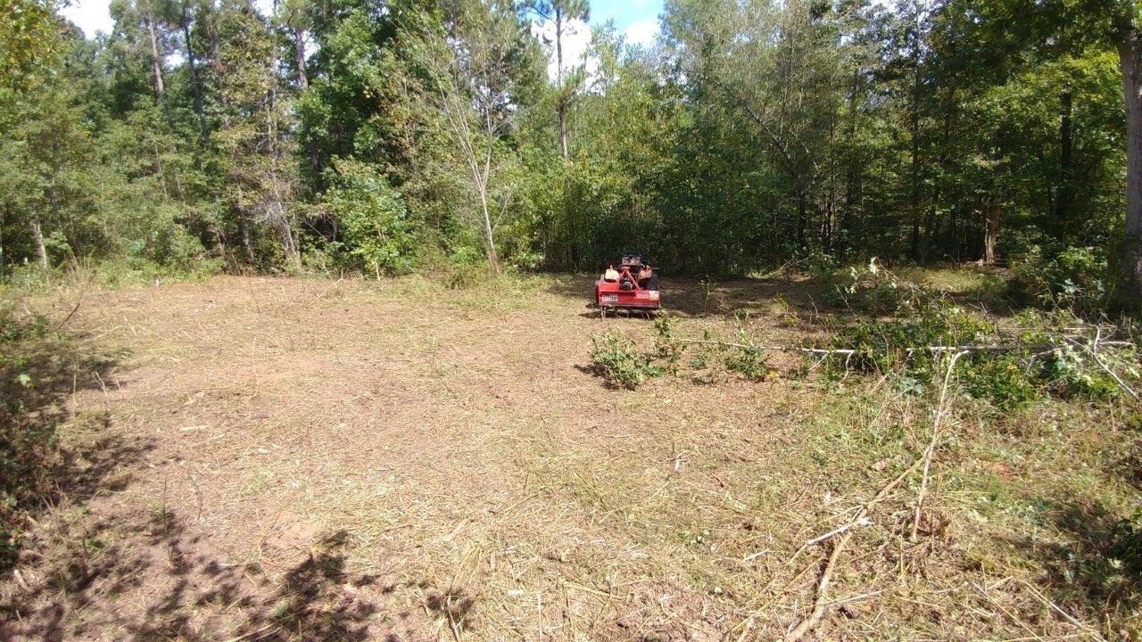 2421 Davis Academy Road Madison, GA 30650 - Photo 1 of 1 a view of a fire pit with large trees