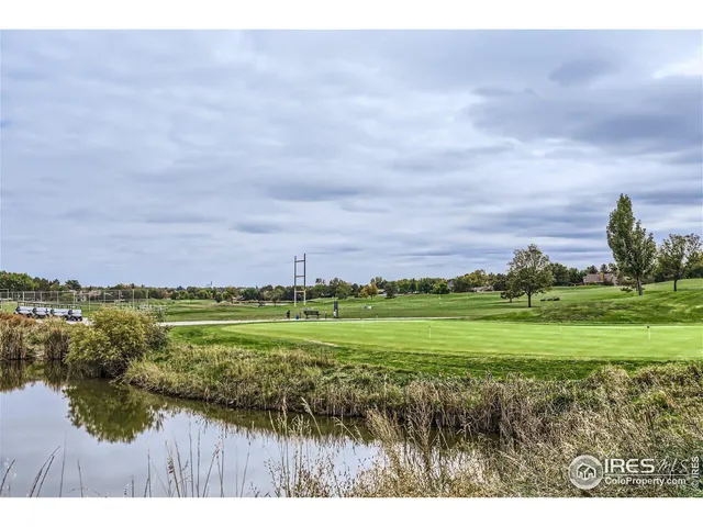 a view of a field with an ocean
