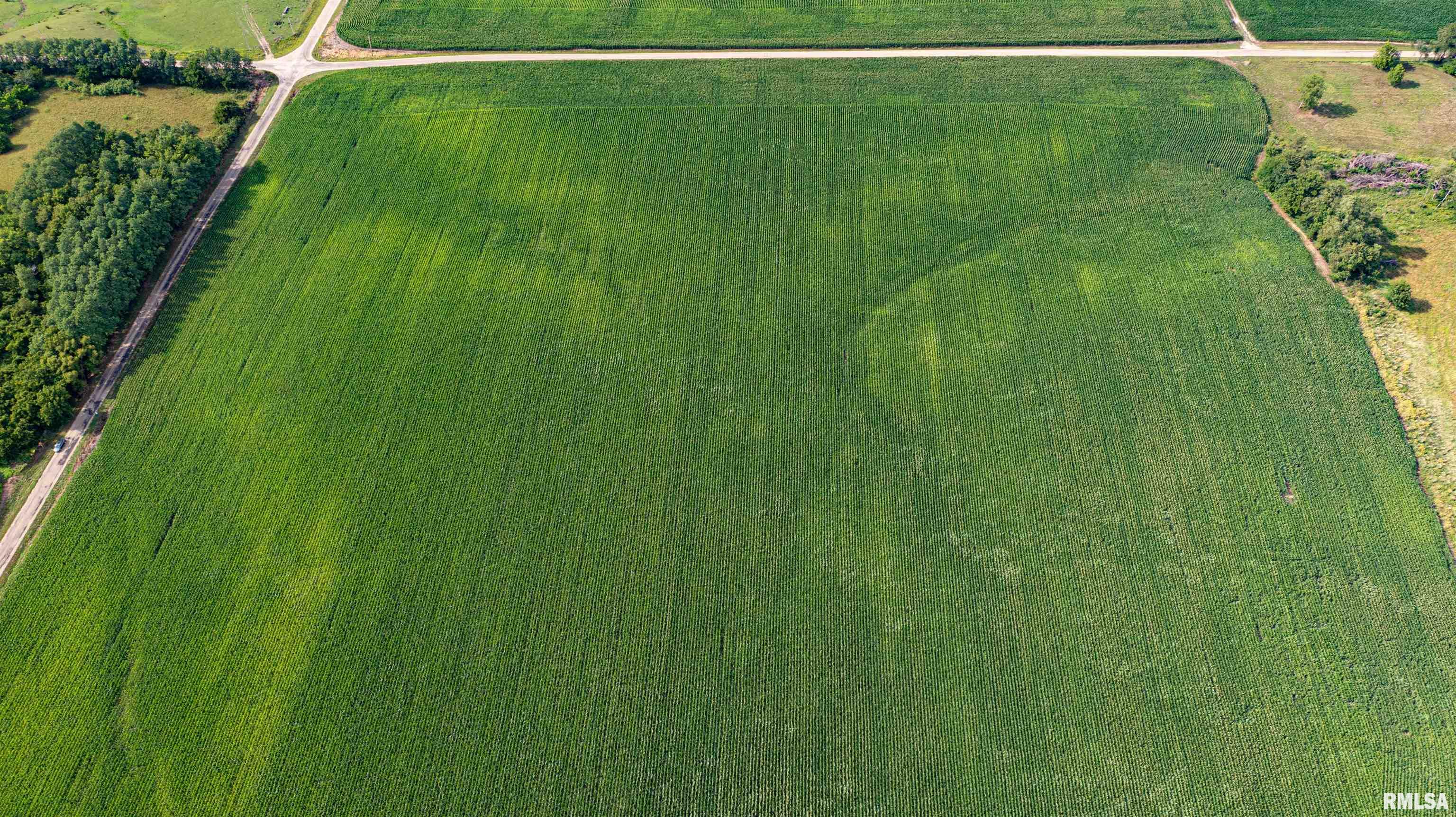 0 West Lorance Road Princeville, IL 61559 - Photo 5 of 5 Gallery Image 5