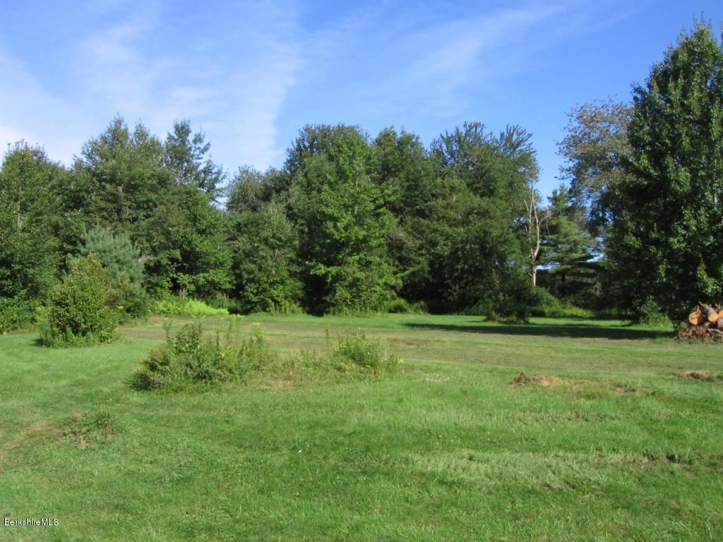8.1-8.2 Stump Road Sandisfield, MA 01255 - Photo 3 of 9 a big yard with lots of green space and deers