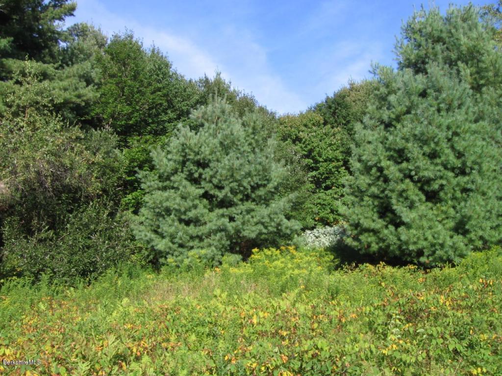 8.1-8.2 Stump Road Sandisfield, MA 01255 - Photo 4 of 9 a view of a lush green space
