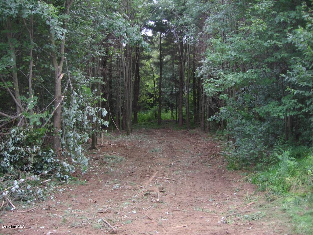 8.1-8.2 Stump Road Sandisfield, MA 01255 - Photo 5 of 9 a view of a forest with trees in the background