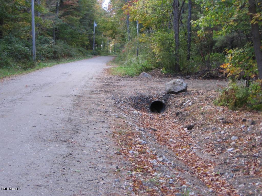8.1-8.2 Stump Road Sandisfield, MA 01255 - Photo 6 of 9 a view of a dry yard with trees in the background