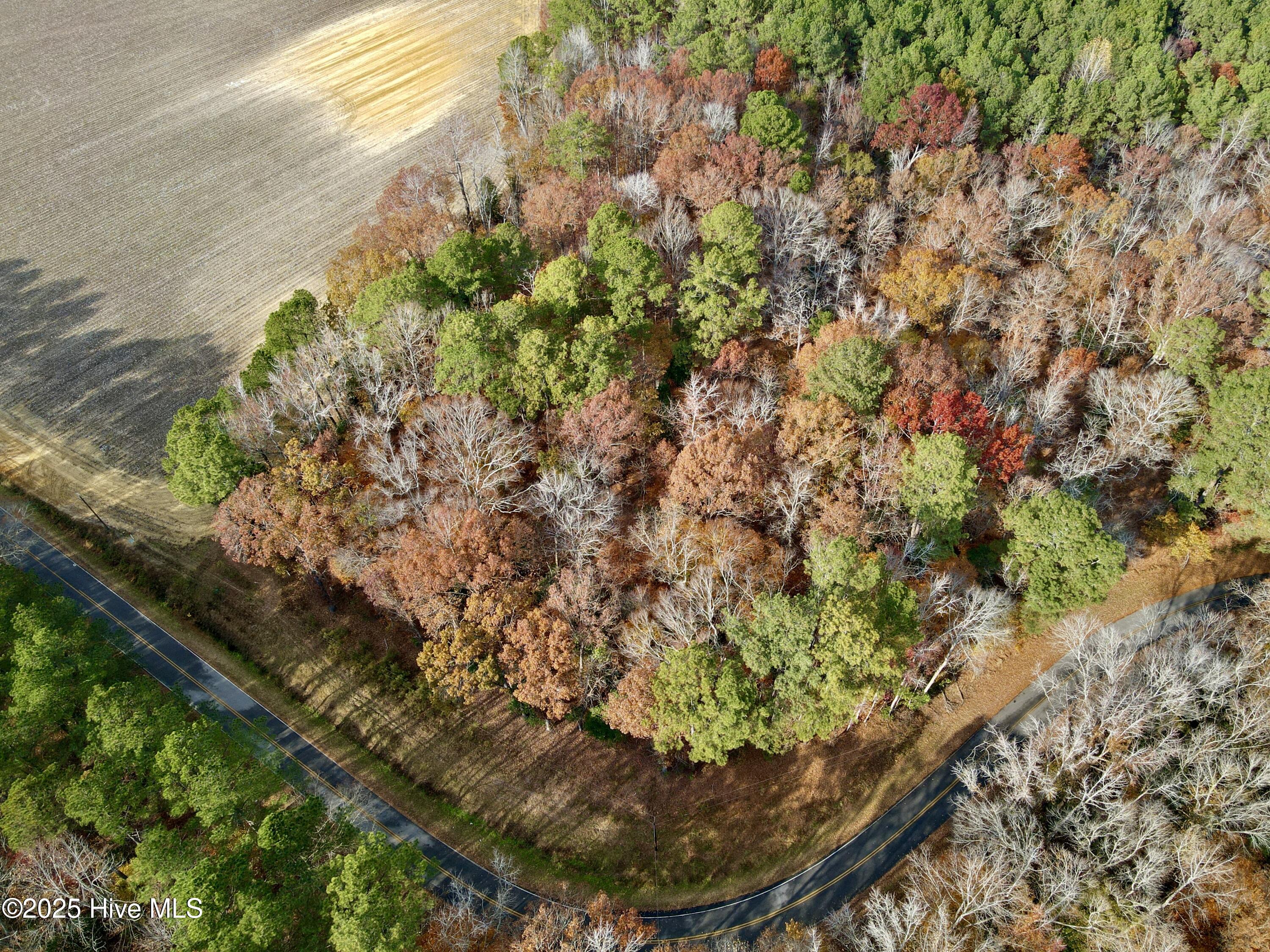 0 Williams Road Williamston, NC 27892 - Photo 4 of 16 Aerial Top View