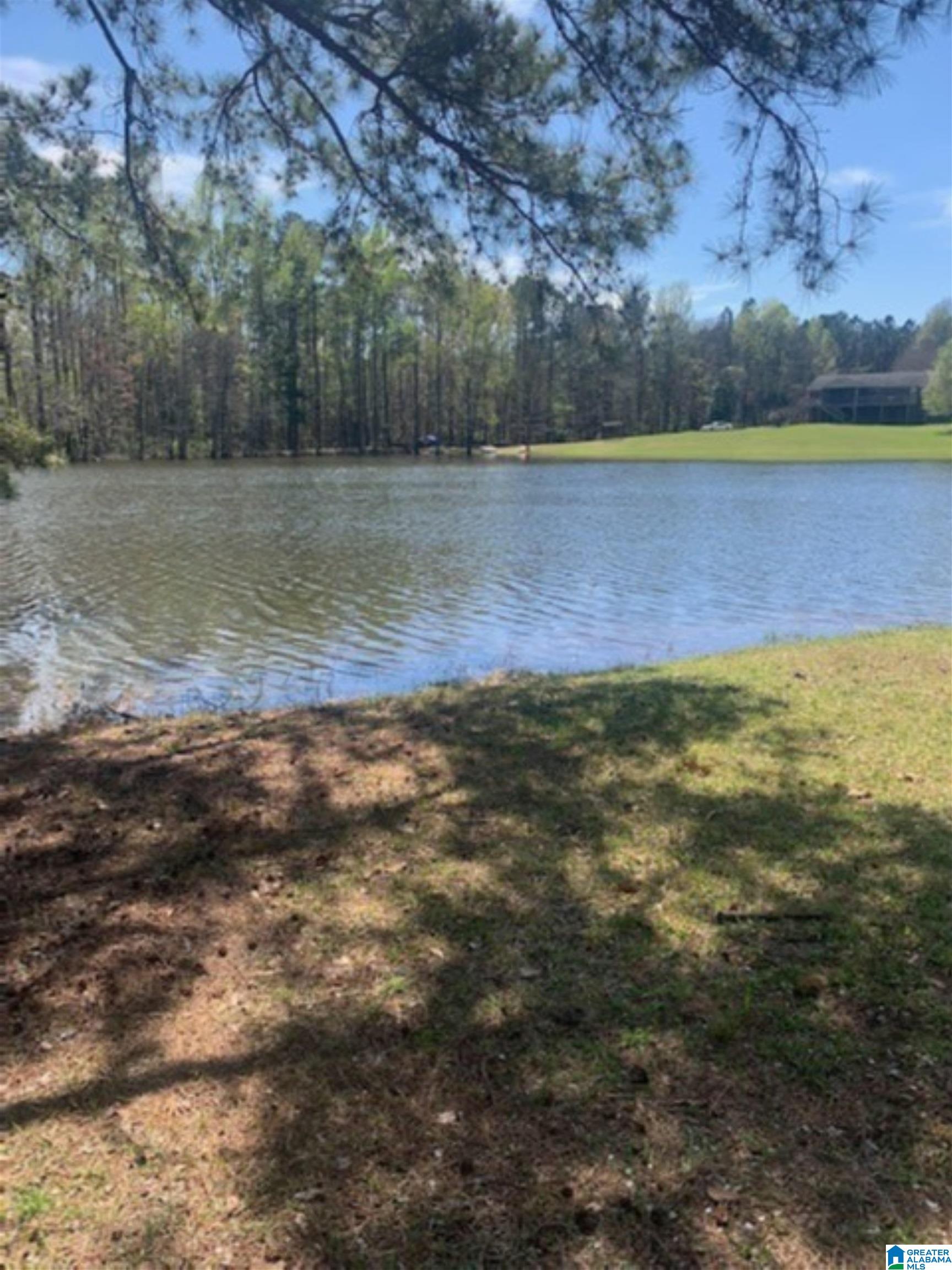 525 Mountainview Lake Road Sylacauga, AL 35150 - Photo 13 of 13