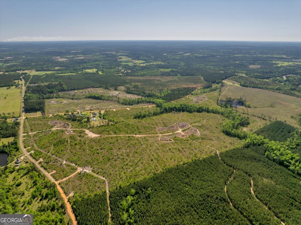 0 Alton Stewart Road East Dublin, GA 31027 - Photo 1 of 1 a view of a city