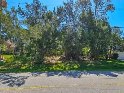 a green field with trees in front of it