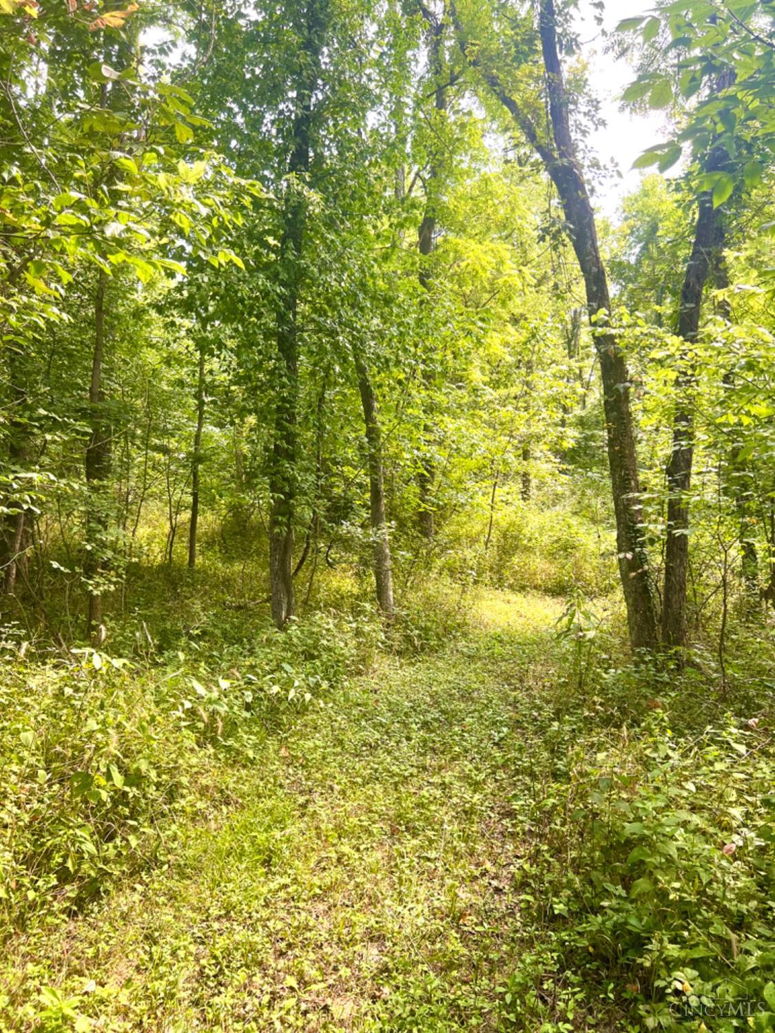 0 Brier Ridge Road West Union, OH 45693 - Photo 12 of 98