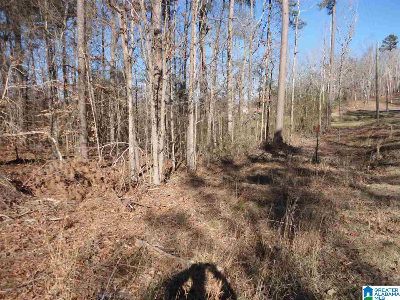 445 Crawfish Lane, Unit 14 15 Ragland, AL 35131 - Photo 8 of 8