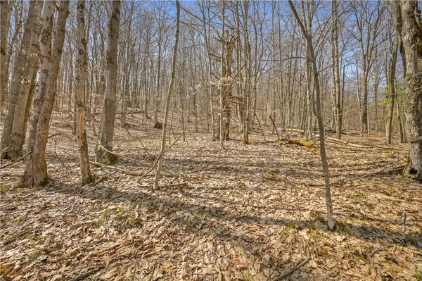 $46,000 | L9.114 Lutheranville Road, East Worcester, NY 12064