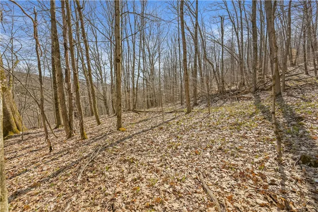 $46,000 | L9.114 Lutheranville Road, East Worcester, NY 12064