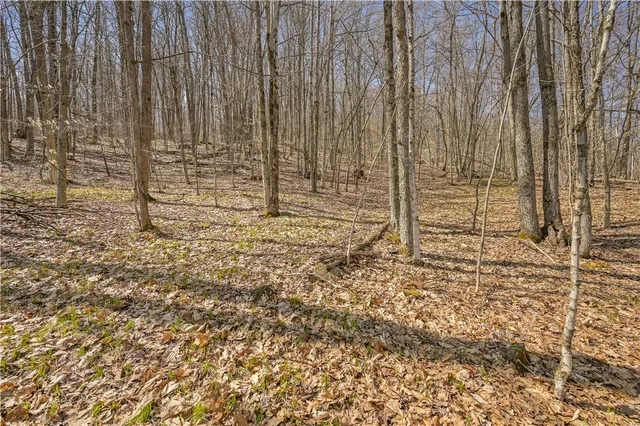 $46,000 | L9.114 Lutheranville Road, East Worcester, NY 12064