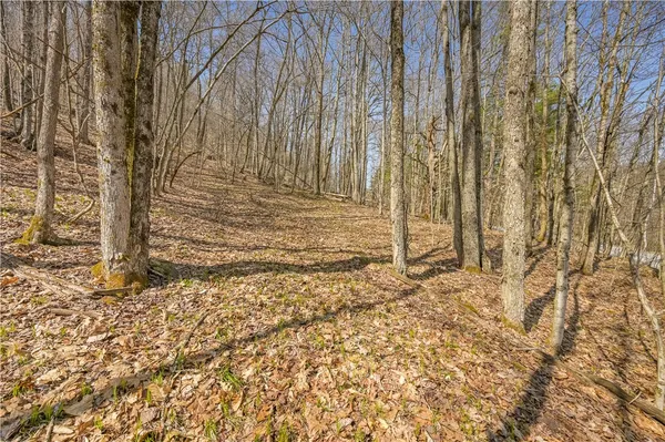 $46,000 | L9.114 Lutheranville Road, East Worcester, NY 12064