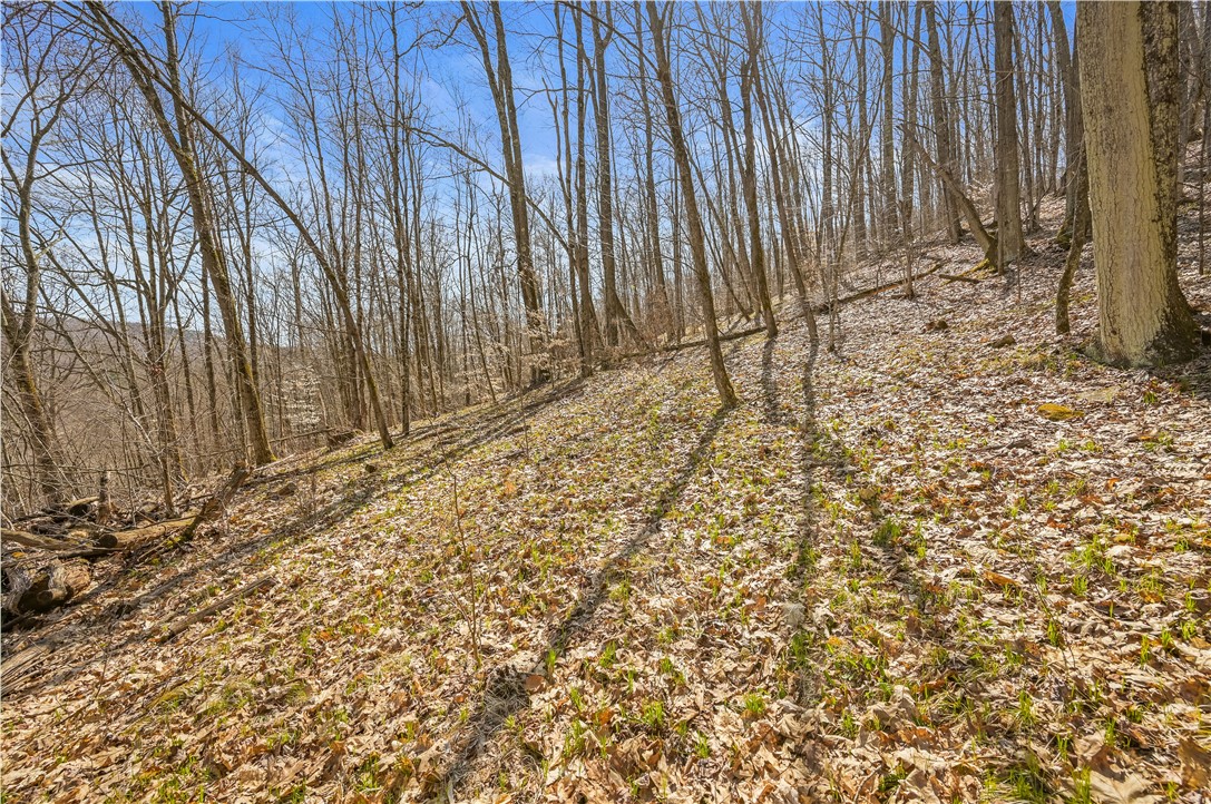 L9.114 Lutheranville Road East Worcester, NY 12064 - Photo 6 of 11