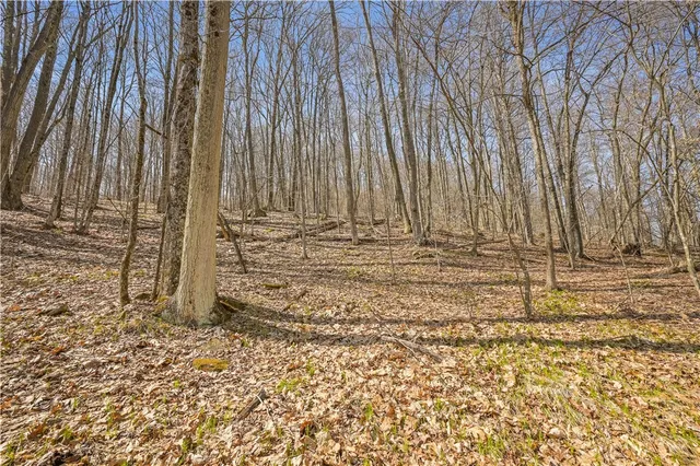 $46,000 | L9.114 Lutheranville Road, East Worcester, NY 12064