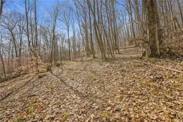 $46,000 | L9.114 Lutheranville Road, East Worcester, NY 12064