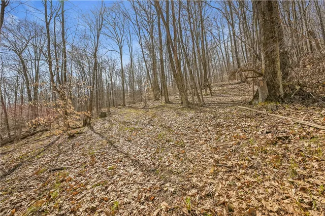 $46,000 | L9.114 Lutheranville Road, East Worcester, NY 12064