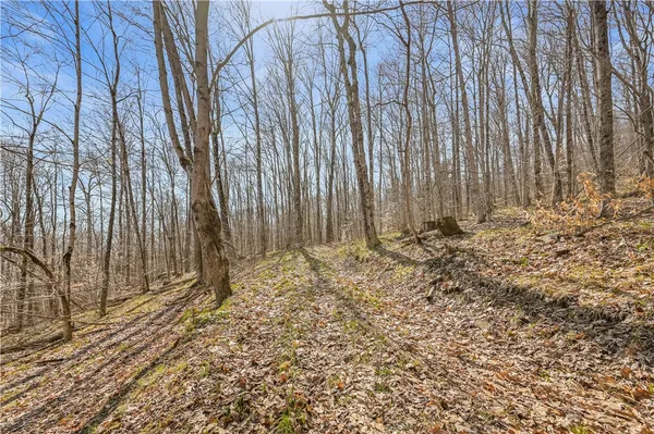 $46,000 | L9.114 Lutheranville Road, East Worcester, NY 12064