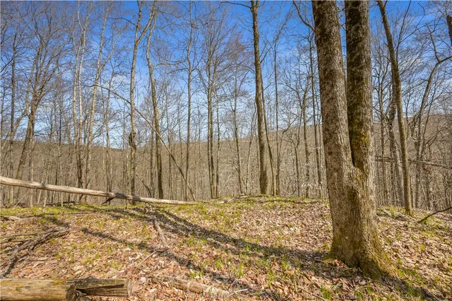 $46,000 | L9.114 Lutheranville Road, East Worcester, NY 12064