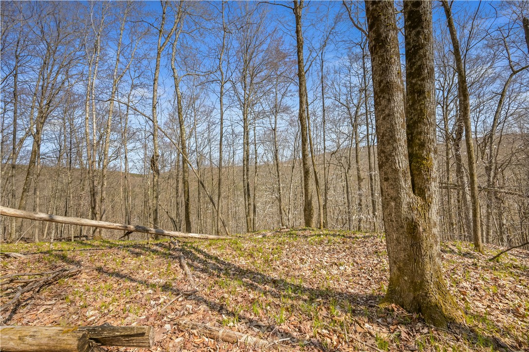 L9.114 Lutheranville Road East Worcester, NY 12064 - Photo 10 of 11