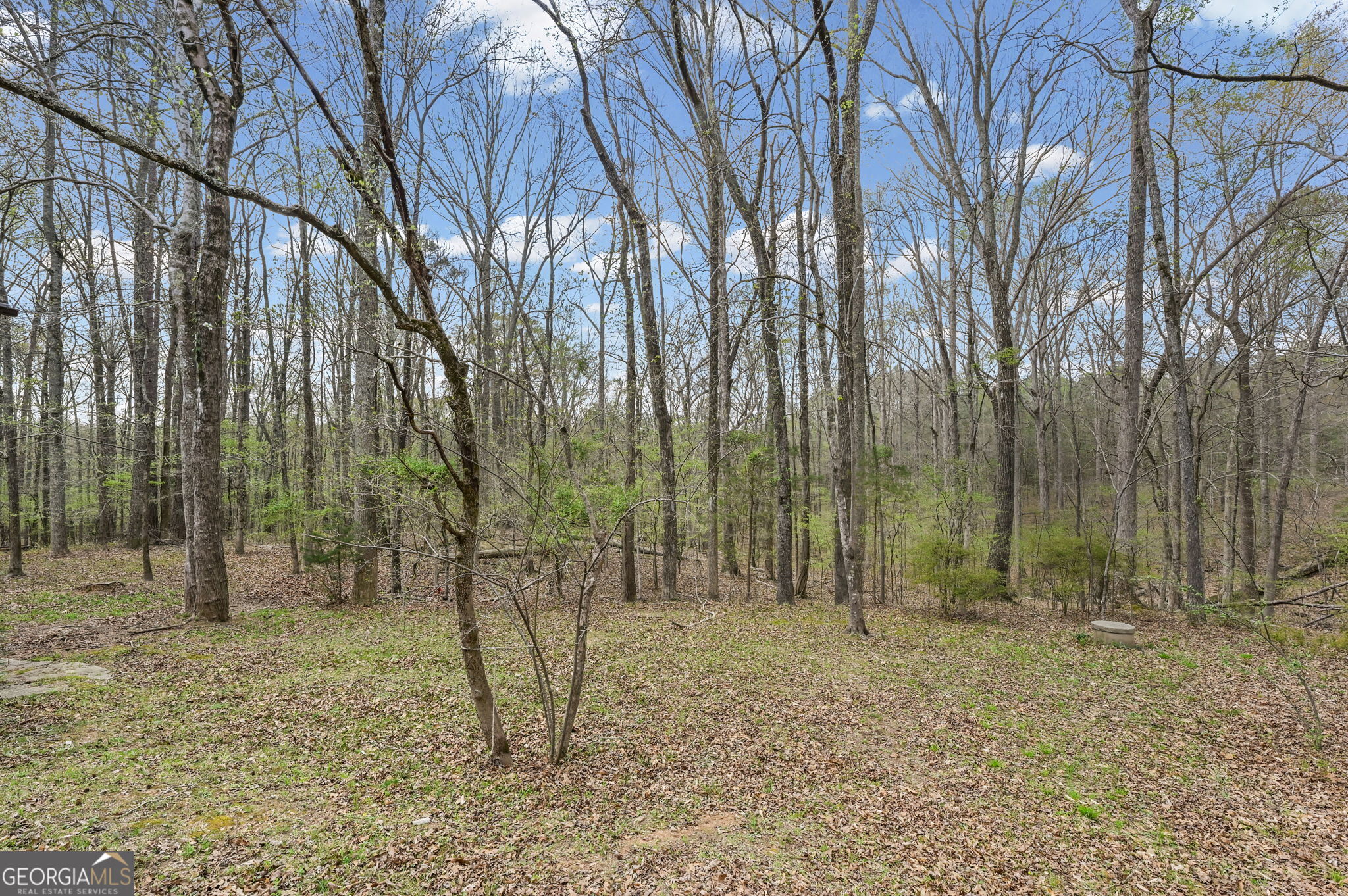 166 Muse Road Fayetteville, GA 30214 - Photo 41 of 76