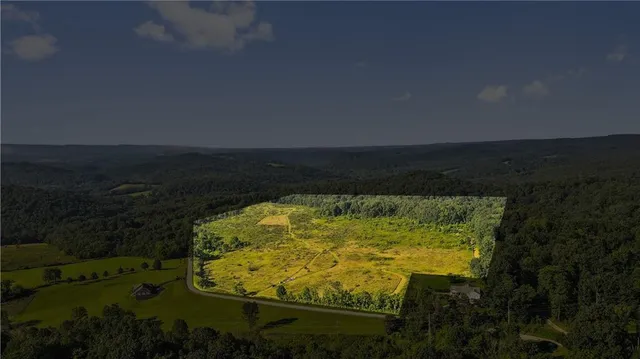 a view of a swimming pool with a yard