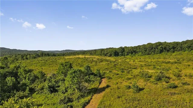 a view of a field with an ocean view