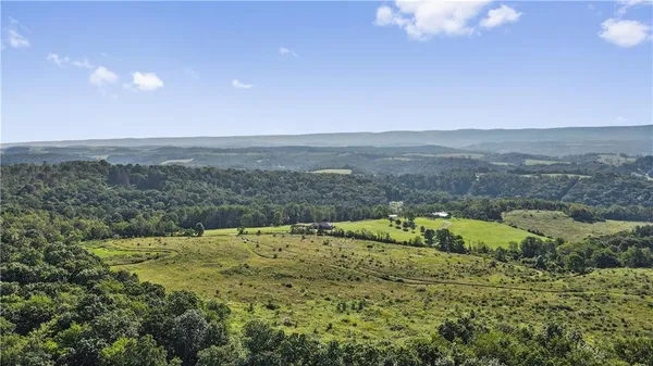 a view of a lush green forest with mountains in the background