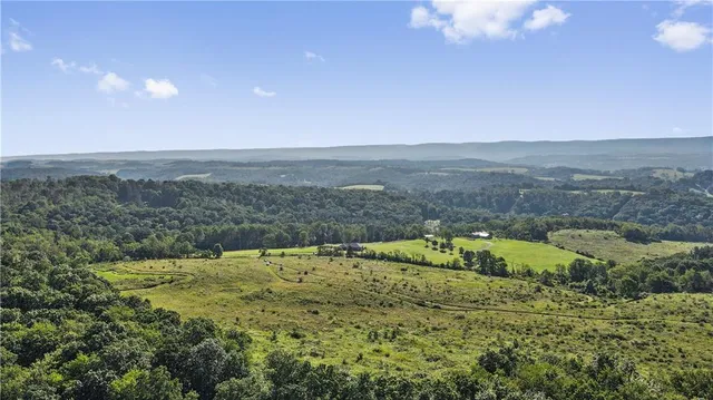 a view of a lush green forest with mountains in the background