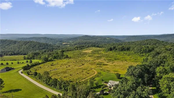 a view of a lush green forest with mountains in the background