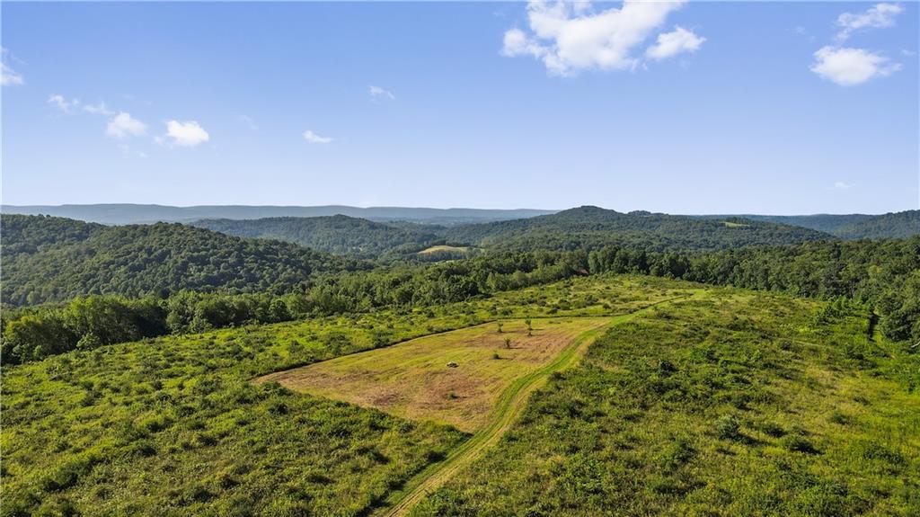 0 Matson Road Ligonier, PA 15658 - Photo 23 of 36 a view of a lush green forest with mountains in the background