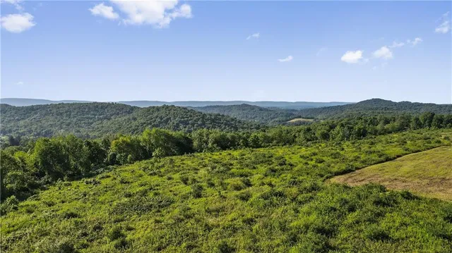 a view of a swimming pool with a yard