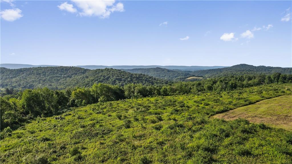 0 Matson Road Ligonier, PA 15658 - Photo 24 of 36 a view of a lush green forest with mountains in the background
