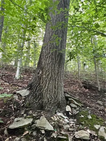 $990,000 | 0 Matson Road, Ligonier, PA 15658