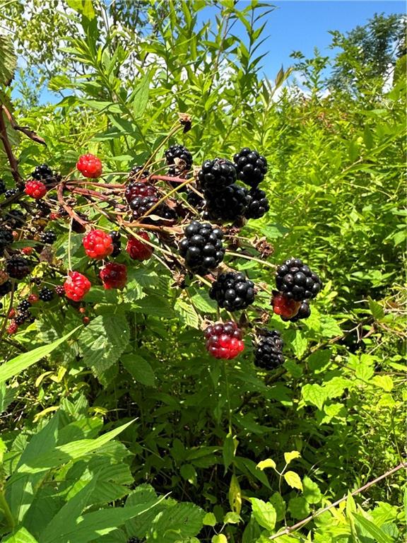 0 Matson Road Ligonier, PA 15658 - Photo 36 of 36