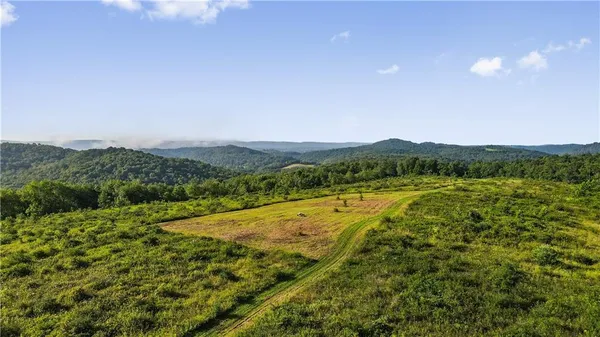 a view of a lush green space with mountain in the background