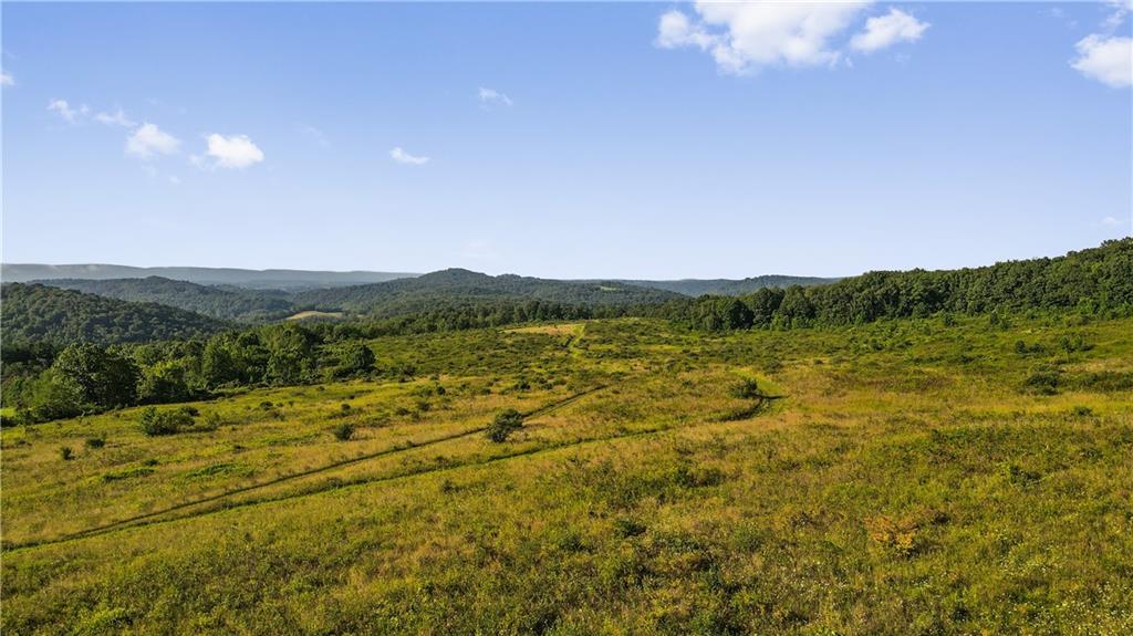 0 Matson Road Ligonier, PA 15658 - Photo 5 of 36 a view of an outdoor space and a yard