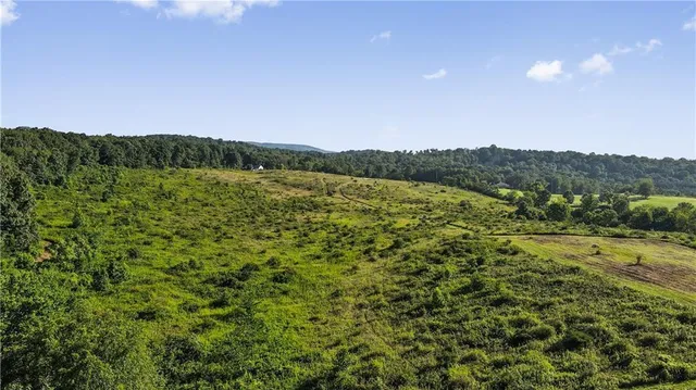 a view of a lush green field with a mountain in the background