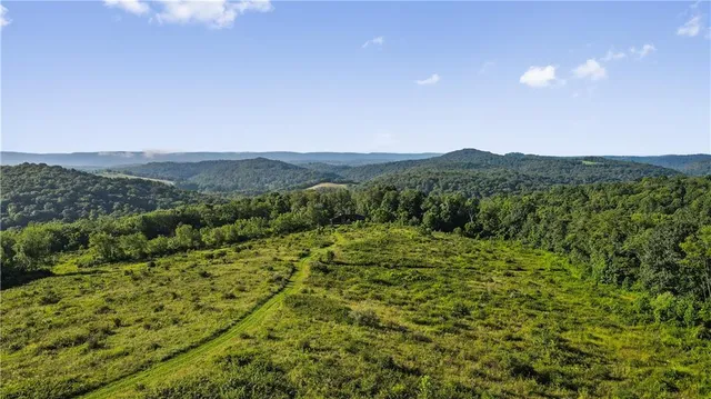 a view of a lush green outdoor space with a lake view