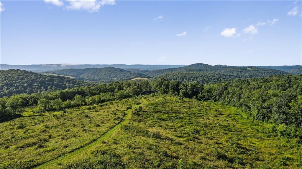 0 Matson Road Ligonier, PA 15658 - Photo 8 of 36 a view of a lush green outdoor space with a lake view