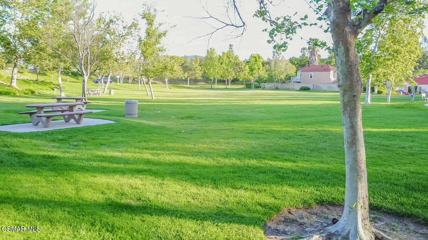 15606 Harte Lane Moorpark, CA 93021 - Photo 67 of 75 a view of a park with trees and grass