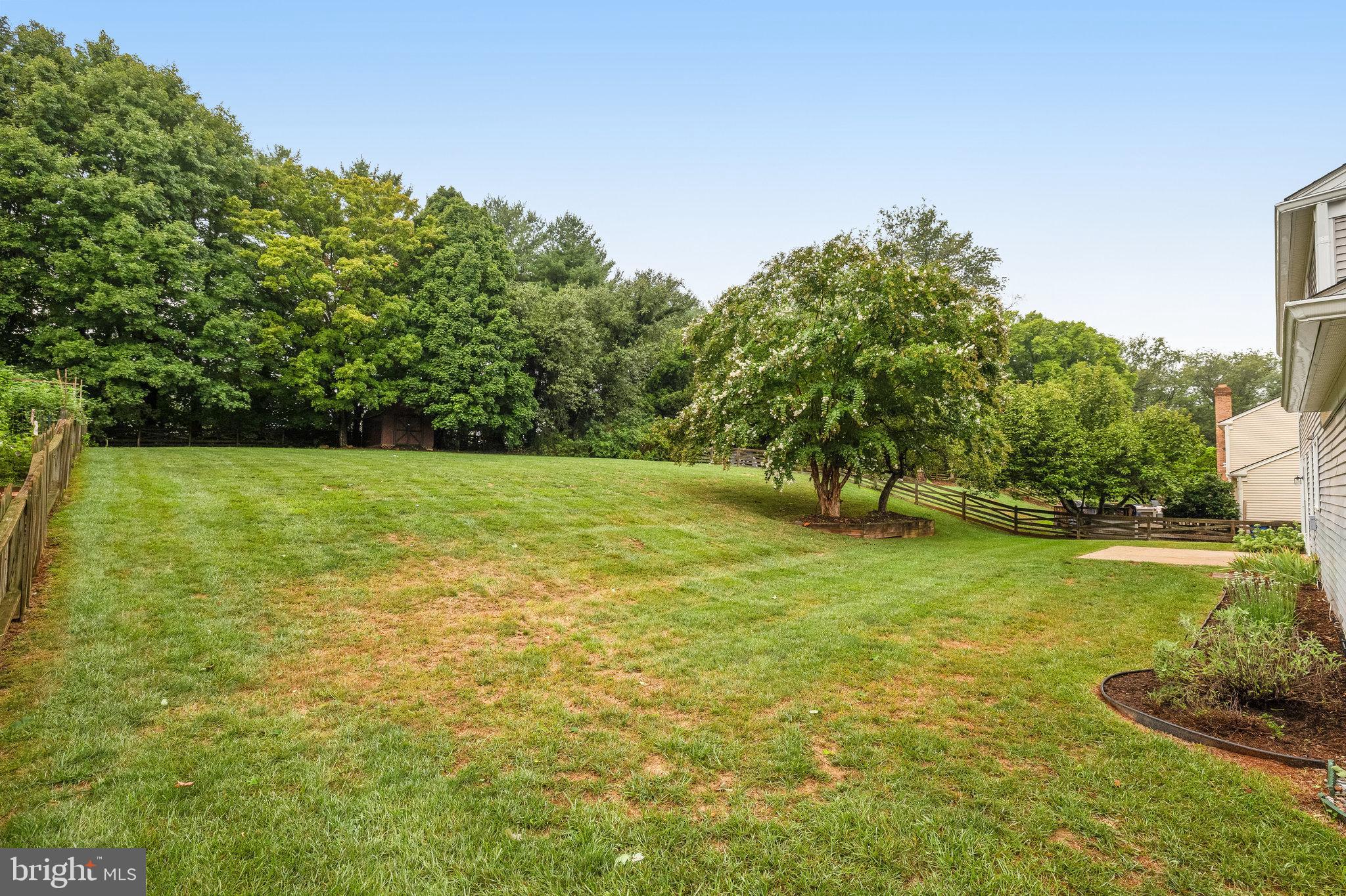 125 Peyton Road Sterling, VA 20165 - Photo 52 of 83 View of the back yard