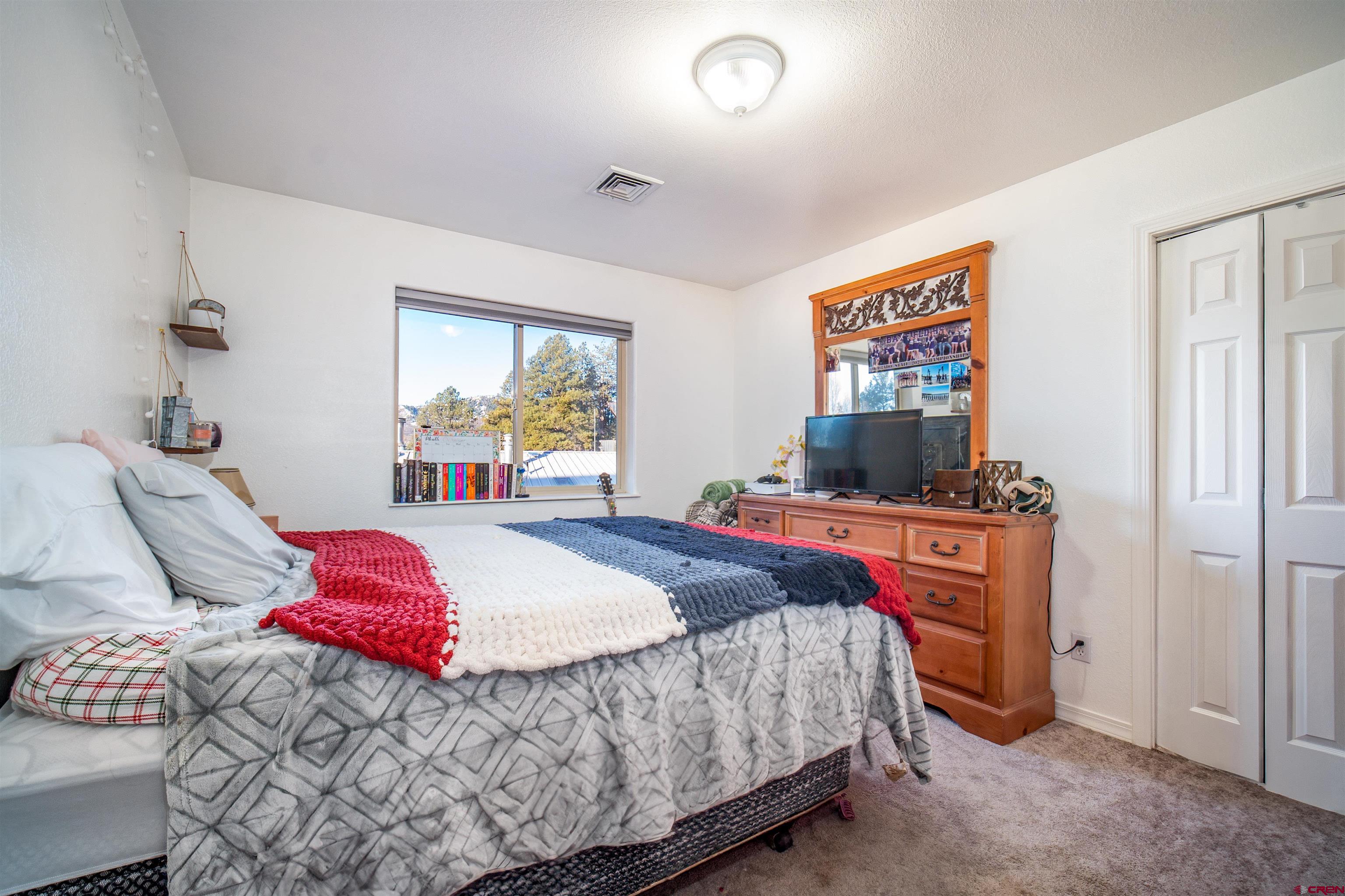 111 Meadowbrook Drive Bayfield, CO 81122 - Photo 13 of 30 a bedroom with a bed and a flat screen tv