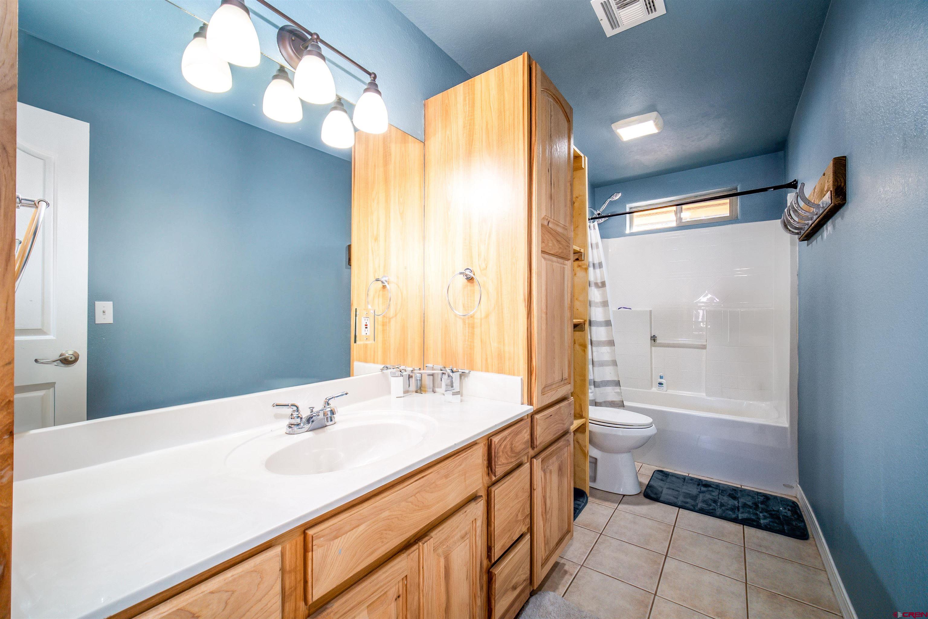 111 Meadowbrook Drive Bayfield, CO 81122 - Photo 16 of 30 a bathroom with a sink a toilet and shower