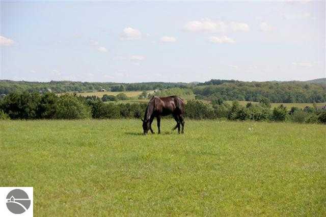 4520 South Schomberg Road Cedar, MI 49621 - Photo 34 of 50 1731126-33.JPG