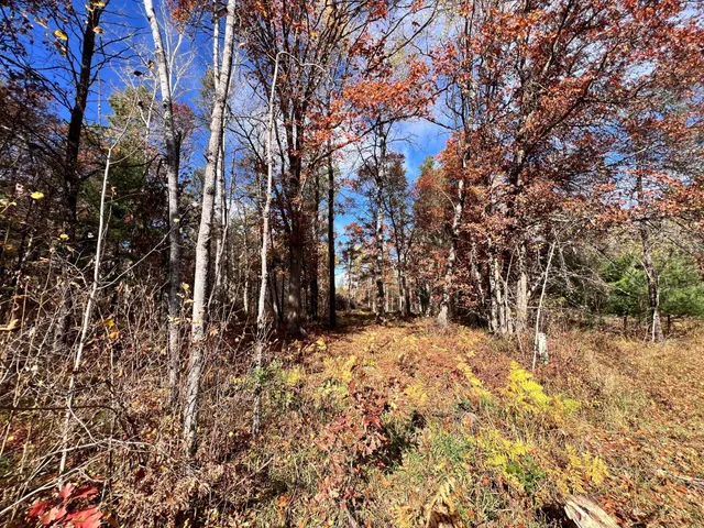 $80,000 | Tbd East Clark Lake Road, Nisswa, MN 56468