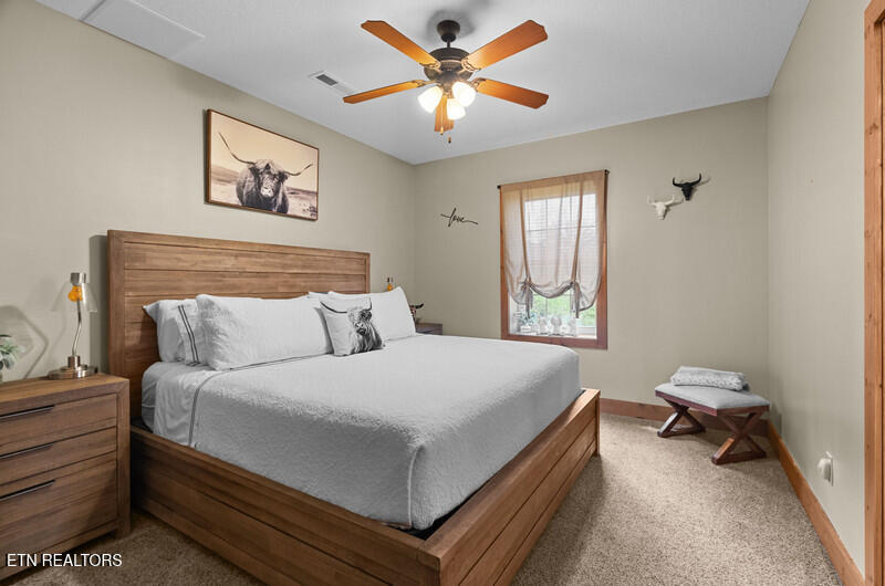 1001 Dumplin Valley Road East Jefferson City, TN 37760 - Photo 35 of 60 IMG_8064