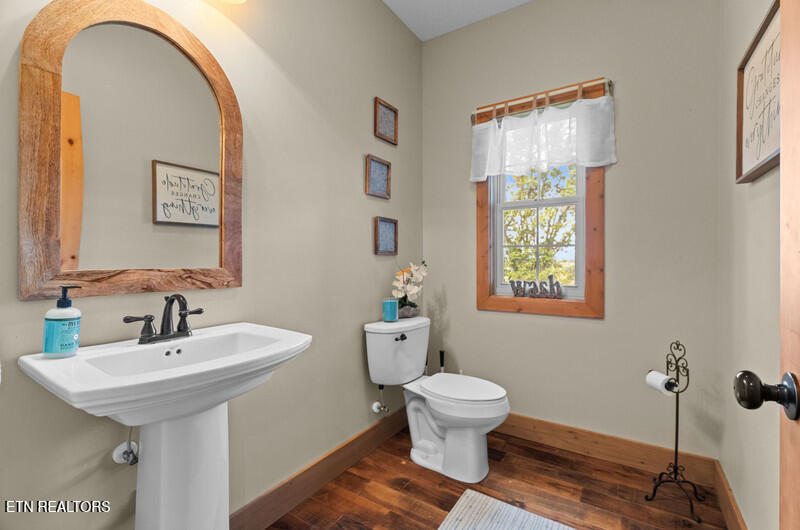 1001 Dumplin Valley Road East Jefferson City, TN 37760 - Photo 46 of 60 IMG_8053