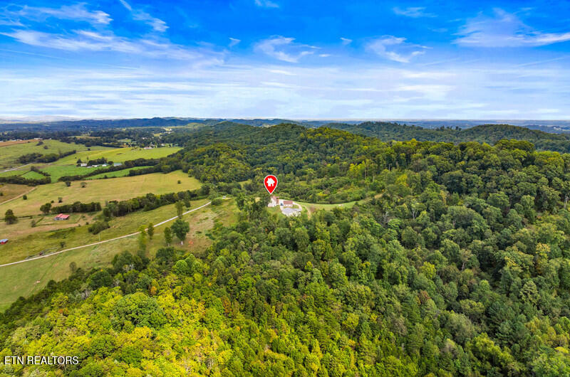 1001 Dumplin Valley Road East Jefferson City, TN 37760 - Photo 10 of 60 IMG_8100