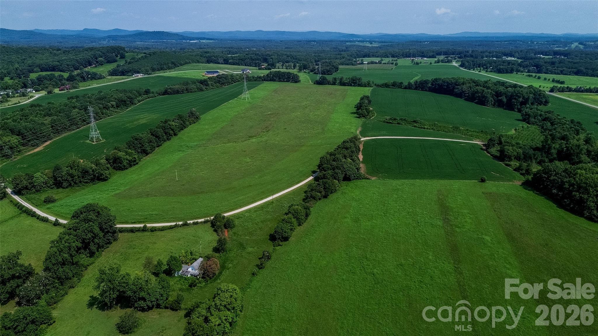 40-ac Amble Road Olin, NC 28660 - Photo 13 of 29 Gallery Image 13